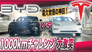 【神回】どっちも電欠覚悟のEV極限チャレンジ、米中最新EV、どっちが早い？／「BYDシール VS テスラモデル3」1000kmチャレンジ対決 [upl. by Blayze]