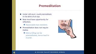 Premeditation and FirstDegree Murder Legal Standards and Modern Interpretations [upl. by Thorbert]