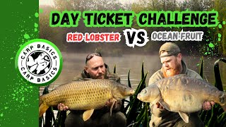 DAY TICKET CHALLENGE  Mousehole Fishery  Carp Fishing  Carp Basics  Ronnie Rig  2023 [upl. by Guadalupe]