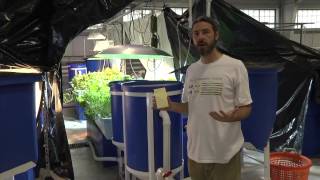 Aquaponics at Kentucky State University Aquaculture Research Center [upl. by Nallak250]