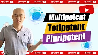 What are the differences between multipotent totipotent and pluripotent cells [upl. by Youngman]