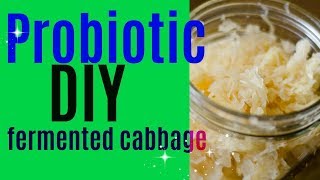 DIY Probiotic  Fermented CabbageFull of Beneficial Bacteria [upl. by Gunthar]