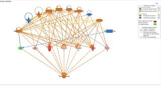 Examining Regulator Effects results in QIAGEN Ingenuity Pathway Analysis software video tutorial [upl. by Eiggam820]