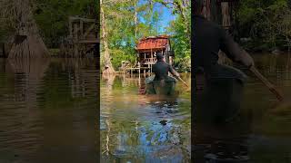 Changing of the seasons at the Pollywog Cabin pollywogcabin louisiana [upl. by Risa]