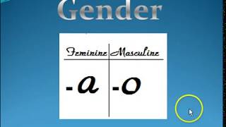 Gender and number in Spanish [upl. by Itra]