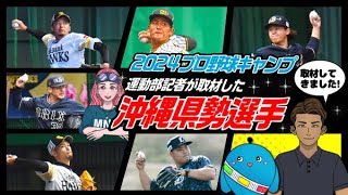 【プロ野球キャンプ】運動部記者と県勢選手を追ってみた！ [upl. by Bart788]