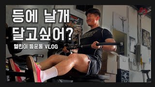 헬린이 등운동 꿀팁 EP1 케이블풀오버 데드리프트 시티드로우 [upl. by Uhn11]