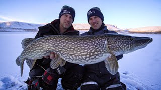 MultiSpecies Ice Fishing Tips amp Tricks Fishing Geeks [upl. by Kcirded]