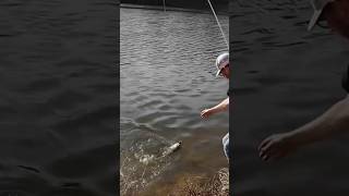 HUGE BASS ON THE LINE [upl. by Jourdain]