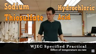 1525 Rates of Reaction  Temperature WJEC Chemistry GCSE [upl. by Gnohp868]