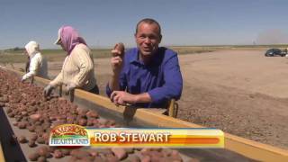 Idaho Potato Harvest [upl. by Thayne]