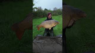 CARP FISHING 28KG COMMUNE [upl. by Beacham777]