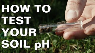 How to Test Your Soil pH at Home [upl. by Harrison270]