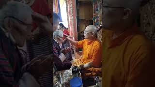 Treatment by Tsampa Rinpoche [upl. by Cinimmod]