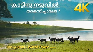 Edapalayam Watch Tower  Periyar Tiger Reserve  Forest Stay with Wild Animals [upl. by Nahraf]