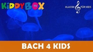 Mozart Bach Chopin  Klassik für Kinder  Blaue Tiefe KIDDYBOXTV [upl. by Hinkel]