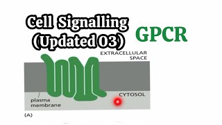 Cell Signalling Updated 03  GPCR Line by Line🧬 [upl. by Moran]