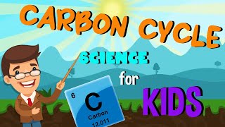 What is Carbon and The Carbon Cycle Process  Science for Kids [upl. by Abijah314]