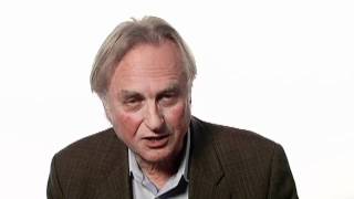 Richard Dawkins The Importance of Doing Useless Things  Big Think [upl. by Emie]