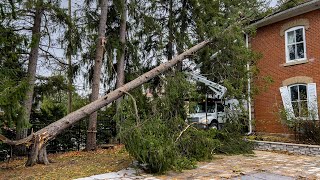 Experts confirm tornado touched down in Fergus Ont [upl. by Alesig230]