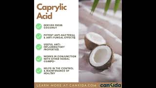 Caprylic Acid Benefits for Gut Health Candida and Immunity shorts [upl. by Lark]