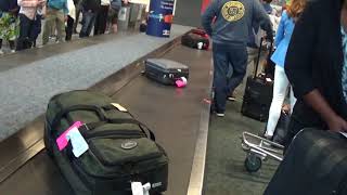 Baggage Claim at Ft LauderdaleHollywood International Airport Terminal 1 [upl. by Ahtram637]