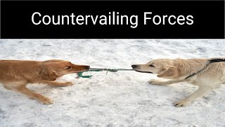 The Countervailing Forces Model [upl. by Sacken]