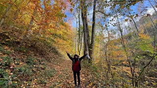 Exploring Osterode Hiking amp Camping ⛺️ [upl. by Tiny102]