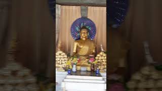 🌍 Чанг Май полон сюрпризов 🇹🇭 🙏 travel changmai temple [upl. by Whang]