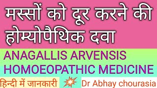 मस्सों की होम्योपैथिक दवा anagallis arvensis Homoeopathic medicine masse ki homeopathic dawa मस्सेध [upl. by Nicoline897]