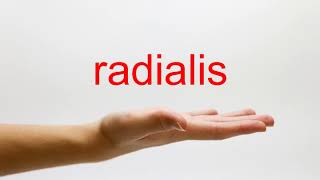 How to Pronounce radialis  American English [upl. by Owain]