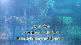 صوت المطر رعد وبرق  مؤثر صوتي  Rain lightning and thunder [upl. by Cort]