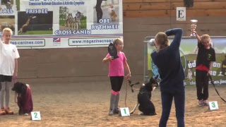 CNEAC  France 👻agility junior 🍬🍬 Yssingeaux 21102018 [upl. by Kassaraba129]