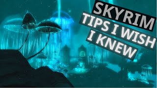 Skyrim Anniversary Edition 20 New Player Tips I Wish I Knew When I First Started Playing [upl. by Herby]