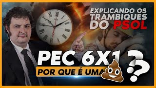 Por que a PEC da escala 6x1 é uma 💩 Explicando cada trambique e cilada na PEC do 6x1 [upl. by Paris430]