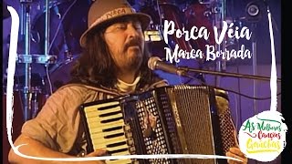 MARCA BORRADA  PORCA VÉIA  AO VIVO  CLIP DVD [upl. by Etteval306]