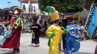 ¡Danza de Los Chinelos muy practicada en Guerrero [upl. by Kilian]