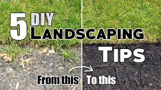 5 Cheap amp Easy DIY Landscaping Tips amp Ideas Plus Bonus Tips 🌱 [upl. by Onyx872]