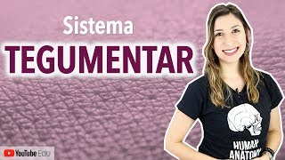 Sistema Tegumentar 14 Introdução  Anatomia etc [upl. by Omari]