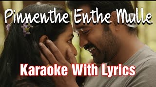 Pinnenthe Enthe Mulle  Ellam Sheriyakum  Karaoke With Lyrics  Unplugged  Sangeeth Surendran [upl. by Hullda26]