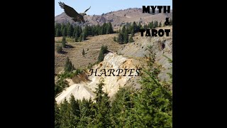 Myth amp Tarot Harpies [upl. by Sergeant]