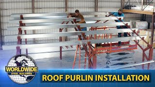 Steel Building Roof Purlin Install  How To DIY Steel Building [upl. by Branden891]