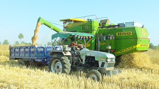 Hind 999 Harver cutting wheat crop  Eicher 485 Tractor  Massey Ferguson 241 Tractor [upl. by Ridgley64]