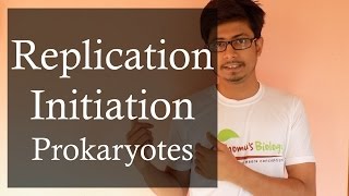 DNA replication in Prokaryotes 1  Prokaryotic DNA replication initiation [upl. by Amitaf]