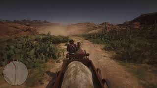 Red Dead Redemption 2  Trying to collect some 3 Stars [upl. by Iras733]