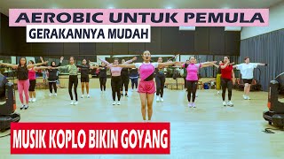 SENAM PEMULA AEROBIK DANGDUT KOPLO TERBARU [upl. by Eeral]