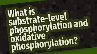 What is substratelevel phosphorylation and oxidative phosphorylation [upl. by Nylle]