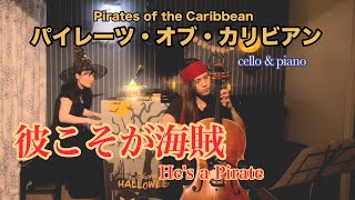 彼こそが海賊Pirates of the Caribbeancello amp piano [upl. by Ricky827]