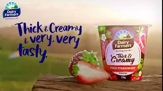 Dairy Farmers Thick amp Creamy Yoghurt – Its Thick amp Creamy amp Very Very Tasty [upl. by Aicilf255]