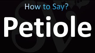 How to Pronounce Petiole Correctly [upl. by Nwahsal]